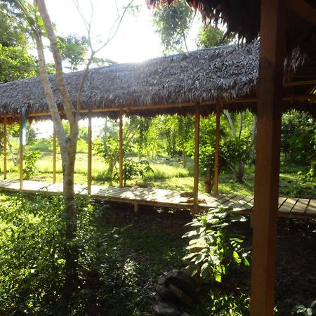 Sotupa Eco House Hostel Puerto Maldonado Kültér fotó