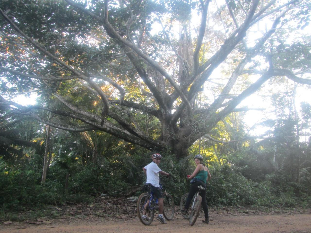 Sotupa Eco House Hostel Puerto Maldonado Kültér fotó